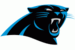 :panthers: